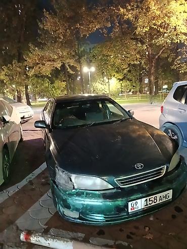 решетка виндом: Toyota Windom: 1996 г., 2.5 л, Автомат, Бензин, Седан — 1