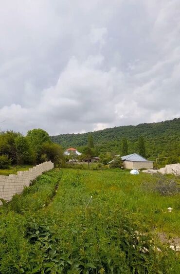 ev alqi satqi kiraye: 12 sot, Tikinti, Barter mümkündür, Kupça (Çıxarış)