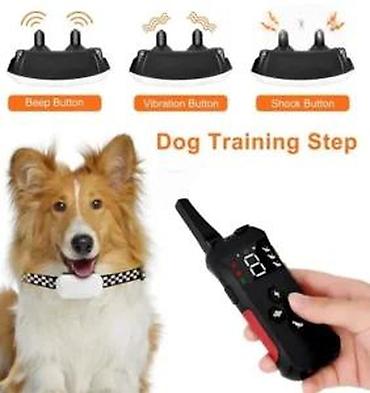 Oprema za kućne ljubimce: Daljinski trening ogrlica za pse – komplet sa daljinskim upravljačem — 12