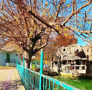 Torpaq sahələrinin satışı: Torpaq sahələrinin satışı -da lalafo.az — 7 Torpaq sahələrinin satışı: Torpaq sahələrinin satışı — 7