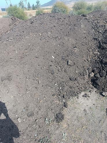 цистерна ош: В тоннах, Бесплатная доставка, Камаз — 4