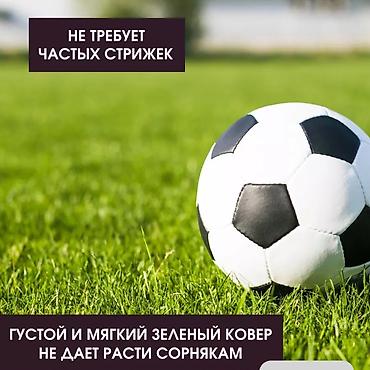 кел кел: Газон Канада Грин по 5 кг спортивный газонмноголетний премиум можно — 9