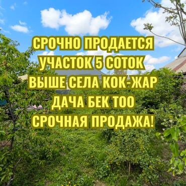 Продажа квартир: 5 соток, Для строительства, Красная книга, Договор купли-продажи