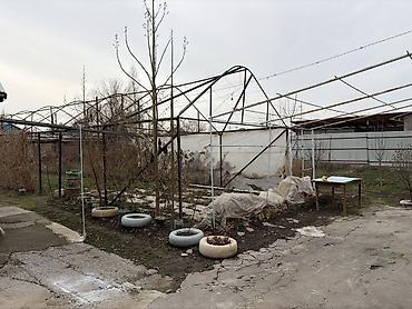 Продажа коттеджей и домов: Продается участок с домом и двором в селе Беловодское, огороженный — 11