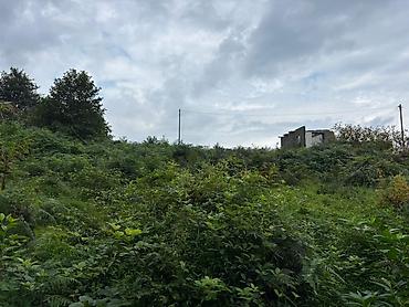 Torpaq: Tikinti — 9