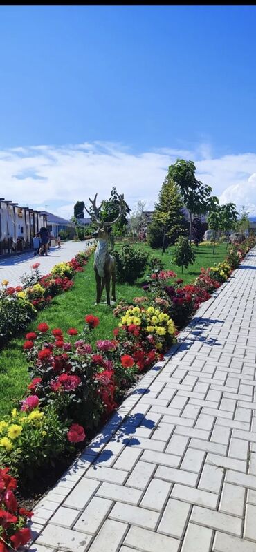 Иссык-Куль 2025: Коттедж, ЦО Palm Beach, Чок-Тал, Барбекю, Батут, Охраняемая территория at lalafo.kg — 6 Иссык-Куль 2025: Коттедж, ЦО Palm Beach, Чок-Тал, Барбекю, Батут, Охраняемая территория — 6