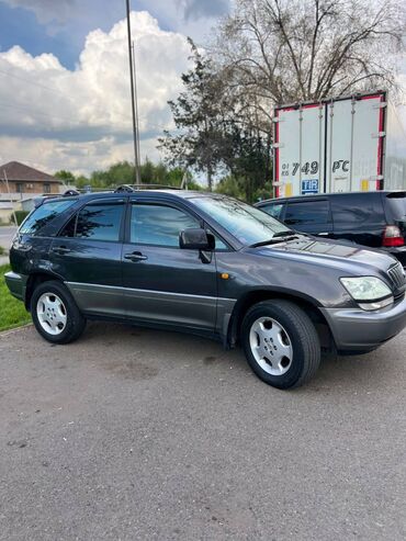 срочно продать машину: Lexus RX: 2003 г., 3 л, Автоматтык, Газ, Жол тандабас