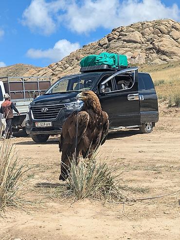 Унаа: Hyundai Grand Starex: 2019 г., 2.5 л, Автомат, Дизель, Вэн/Минивэн — 6