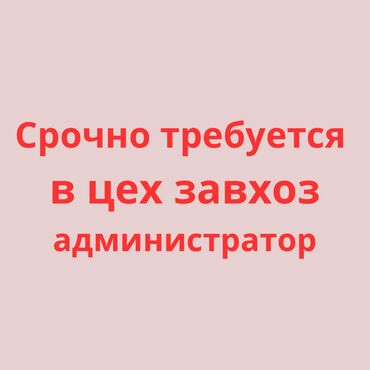 сдаётся на рынке: В цех срочно требуется завхоз администратор. Нужна желательно шустрая