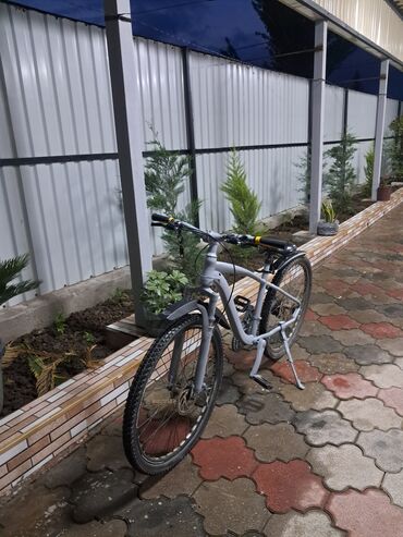 Digər nəqliyyat: Velo satılır real alıcıya endirim olunacaq ünvan:Masallı rayon