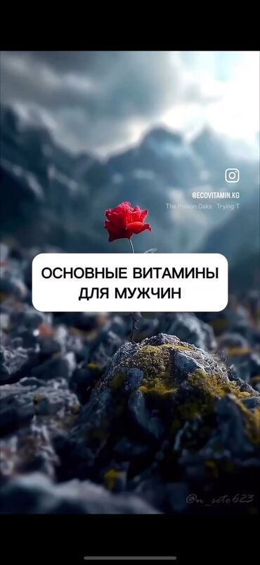 американские витамины для детей для иммунитета: Блокатор вирусов, Для детоксикации, Для ЖКТ, Siberian Wellness, Для взрослых, Для мужчин, Для пожилых, Капсулы, Новый
