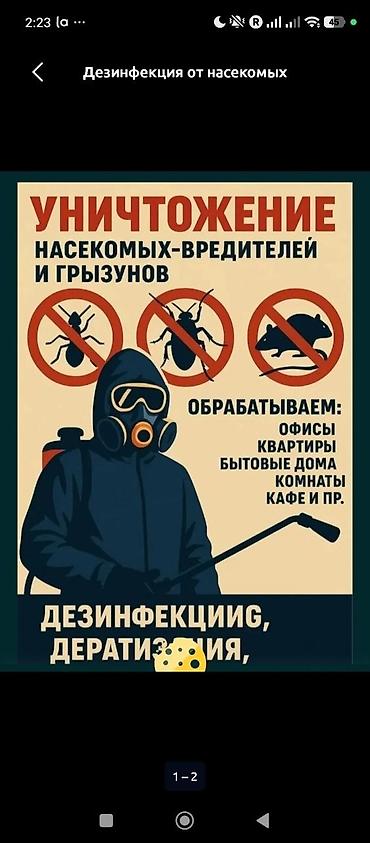 Дезинфекция, дезинсекция, | Клопы, | Квартиры at lalafo.kg Дезинфекция, дезинсекция, | Клопы, | Квартиры