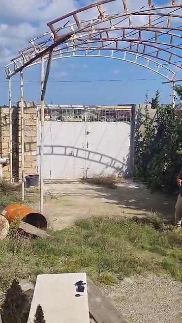 sumqayit satilan evler: Satılır: Həyət evi və torpaq sahəsi - 4 tərəfi hasarlı, darvazalı — 1