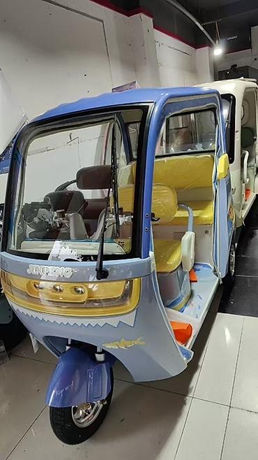 byd e6: Microcar : 2026 г., Электромобиль — 7