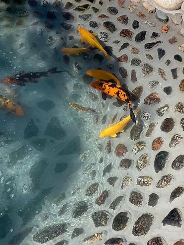 Продажа домов: Дом, 200 м², 5 комнат, Собственник, Дизайнерский ремонт — 3