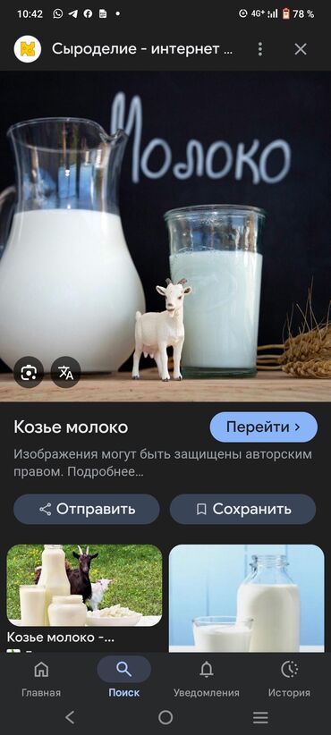 продам орехи: Козье молоко Натуральное козье молоко, свежее и насыщенное. Подходит