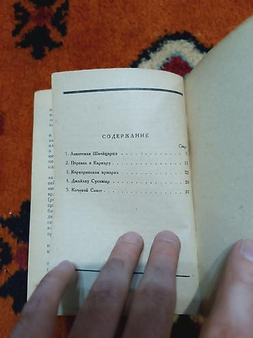 синаи зан: 1930 Азиатская Швейцария - Зинаида Рихтер

48 стр — 4