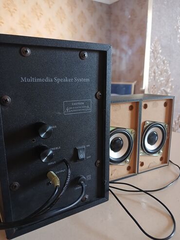 Динамики и колонки: Multimedia dinamik sistemi, müxtəlif audio cihazlara qoşulmaq üçün
