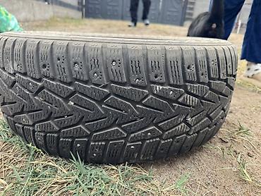 Шины 215 / 55 / R 17, Зимняя шипованная, Б/у, Комплект, Легковые, Nokian