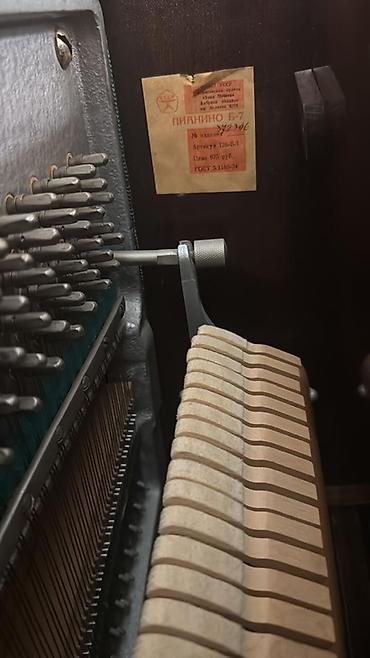 İdman və hobbi: Akkustik pianino – Belarus (upright) 800 manat real aliciya cuzi — 5