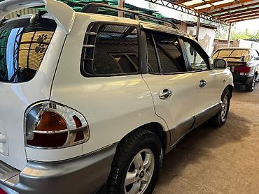 фораннер 2018: Hyundai Santa Fe: 2004 г., 2 л, Автомат, Дизель, Кроссовер — 3