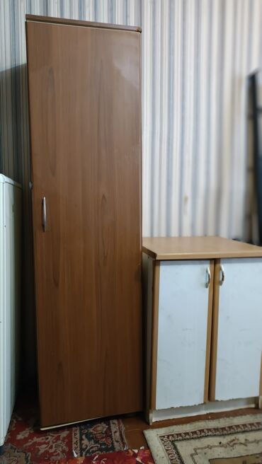 itburnu doşabı faydaları: Düz dolab