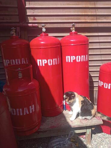 подросковые обувь: 50л бу покрашенные с новыми вентилями с газом для кафе баров