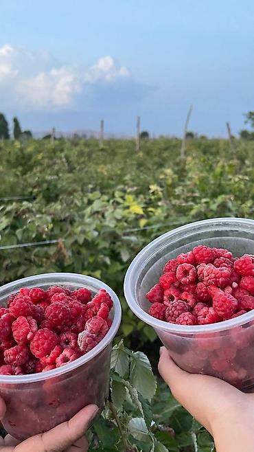 Продажа коттеджей и домов: Продаётся жилой дом с большим участком. 🌿 Продаётся уникальный — 5