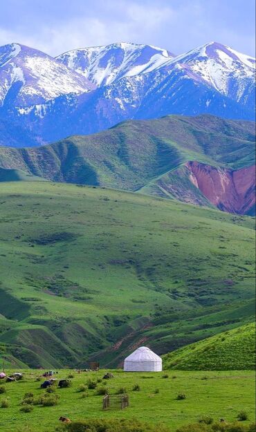 переводчик с английского на кыргызский фото: Услуги переводчика, Английский