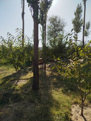 Продажа домов: Дом, 96 м², 5 комнат, Собственник — 7