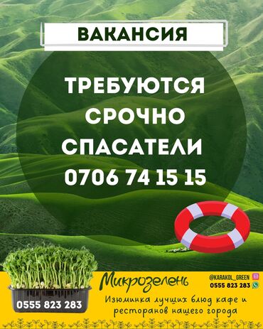 кафель квадратный метр цена бишкеке: В кафе срочно требуется админ,бармен,повар с опытом!!!