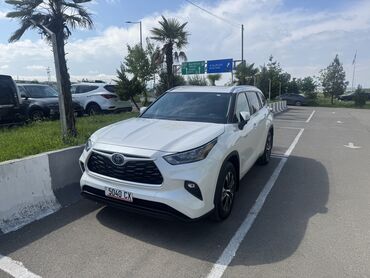 тико автомат бишкек: Toyota Highlander: 2020 г., 2.5 л, Автомат, Гибрид, Жол тандабас