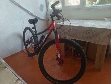 купить горный велосипед недорого: Dağ velosipedi 29"