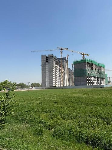 Жер тилкелери: 260 соток, Курулуш, Кызыл китеп — 4