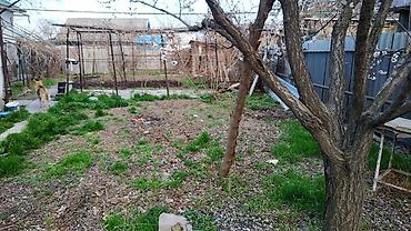 Продажа коттеджей и домов: Продается дом с большим участком.Коммуникации все — 10