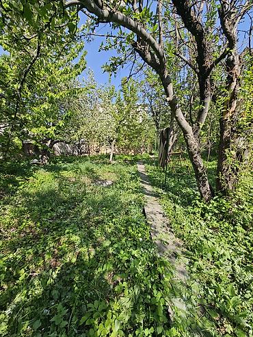 Продажа дач: Продается дачный домик в районе "Панорама", г. Бишкек Характеристики — 5