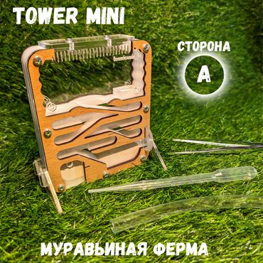 мурав: Муравьиная ферма вертикального типа Tower mini. Формикарий отлично