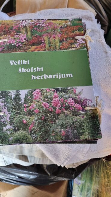 Praznična dekoracija: Bоја - Šareno, Novo — 7