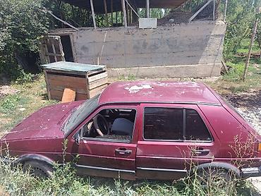краски на авто: Volkswagen Golf: 1993 г., 1.6 л, Механика, Бензин, Хэтчбэк — 1