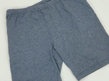 Trousers: Shorts for men, L (EU 40), condition - Good