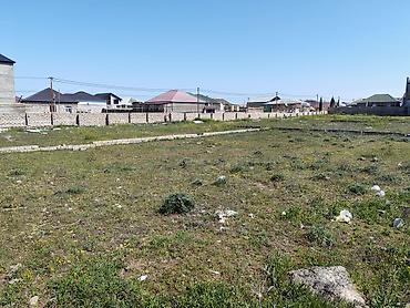 binə torpağ: 27 sot, Tikinti, Mülkiyyətçi, Kupça (Çıxarış) — 3