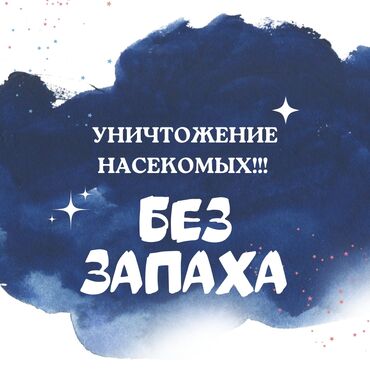 чек принтер: Дезинфекция, дезинсекция | Клопы, Блохи, Тараканы | Транспорт, Офисы, Квартиры