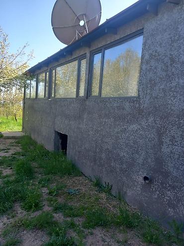 Долгосрочная аренда домов: Сдаётся жильё на Ысык-Куле а селе Корумду с мебелировкой и базовым — 5