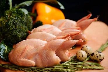 Продукты питания: Перепела потрошённые, тушка целая - Вид продукта: тушки перепелов без — 1