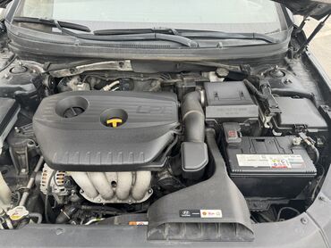 Hyundai: Hyundai Sonata: 2019 г., 2 л, Автомат, Газ, Седан — 7