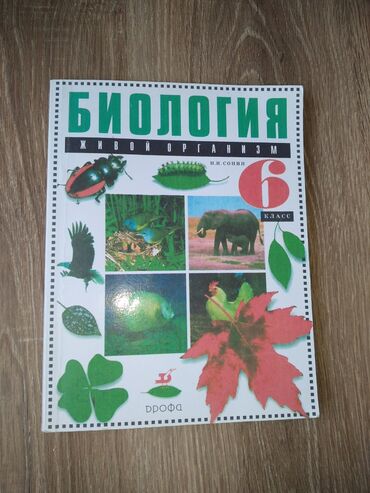 самый дорогой номер машины в кыргызстане: Биология 6класс Н.И.СОННИ Б/У состояние хорошее Писать на номер не