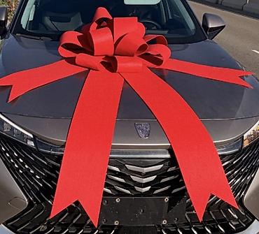 карышкыр фото: Большой декоративный бант на автомобиль - Размер: XXL, закрывает — 1