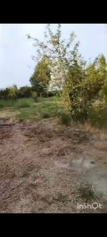 Torpaq sahələrinin satışı: 18 sot, Kənd təsərrüfatı, Mülkiyyətçi, Kupça (Çıxarış), Texniki pasport — 9