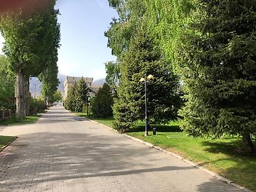 Продажа квартир: 2 комнаты, 42 м², Индивидуалка, 5 этаж, Евроремонт — 7