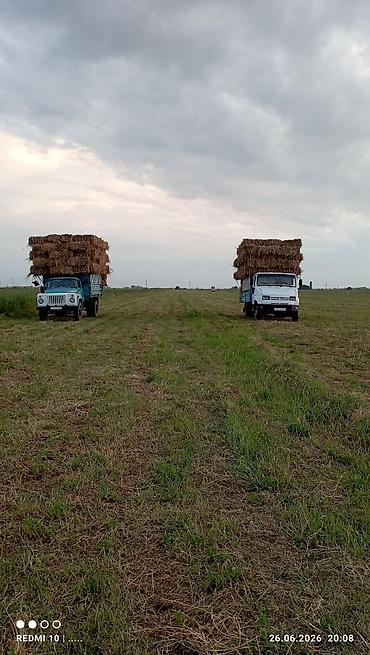 heftede 3gun evde xadime isi: Xidmət: Ot daşınması və nəqli - Kənd təsərrüfatı üçün preslənmiş — 7